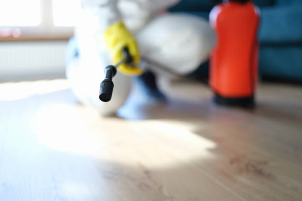 Best Emergency Mold Remediation  in Salida, CA