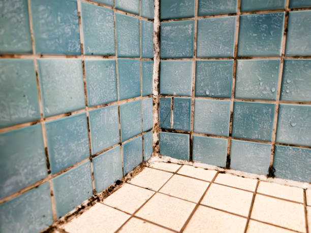 Best Mold Remediation for Healthcare Facilities  in Salida, CA